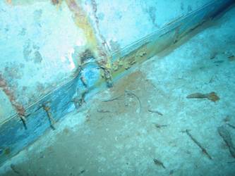 Stbd side of ship's inverted bow
